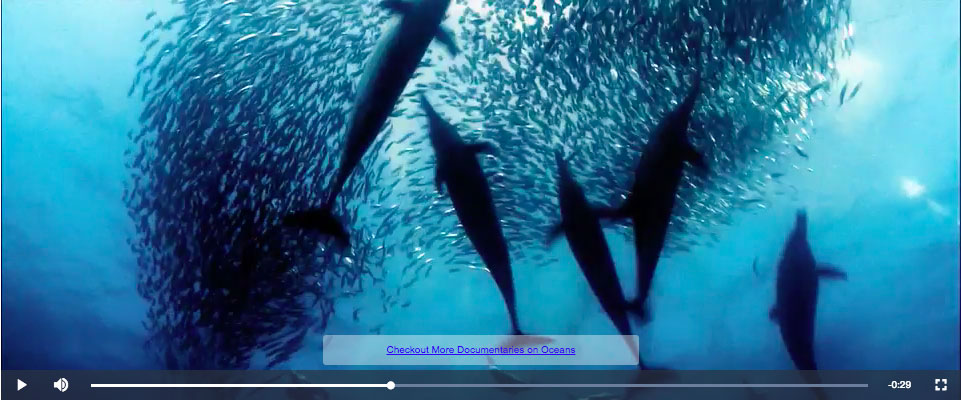 videojs hyperlink screenshot